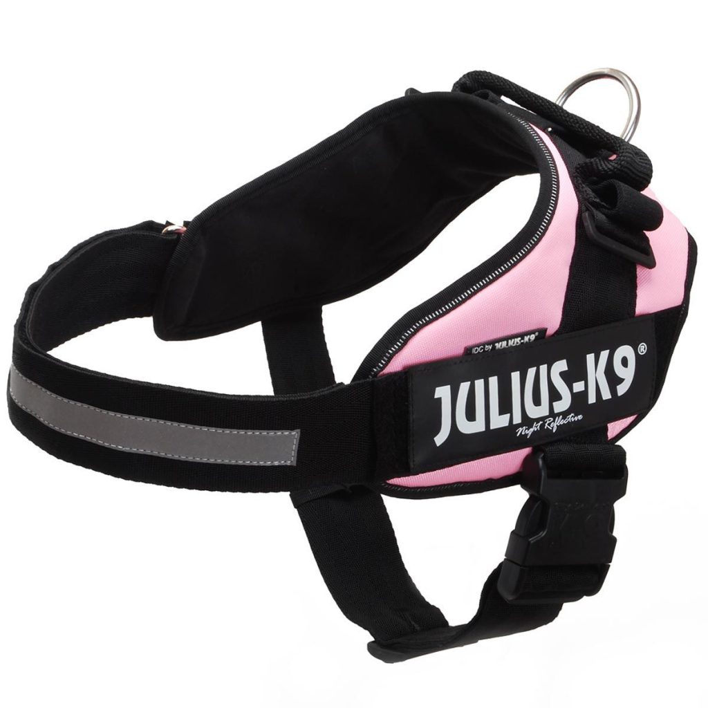 Julius Dog Harness And Lead at Claire Erickson blog